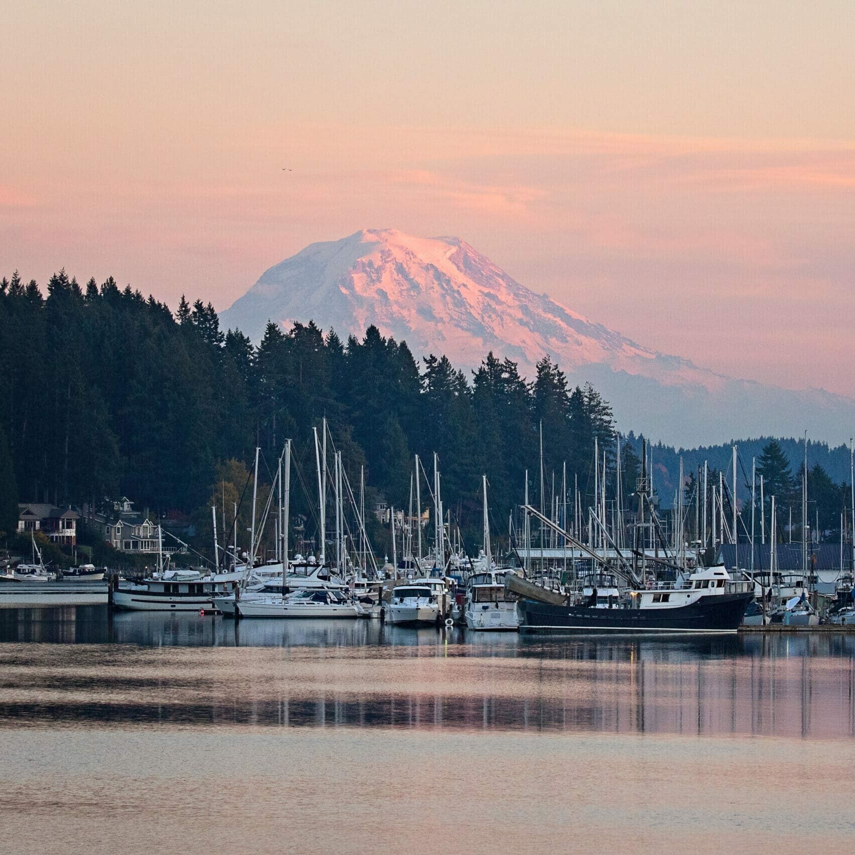 Gig Harbor Marina. Mt. Rainier in the background at sunset